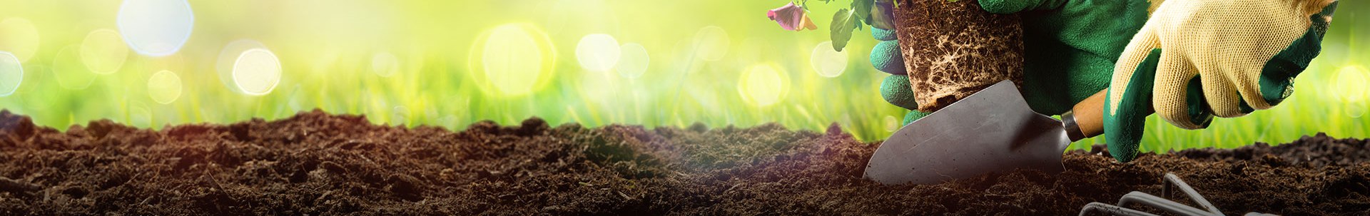 Soil Image